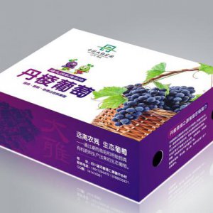 工业品牌策划怎样“立异”？